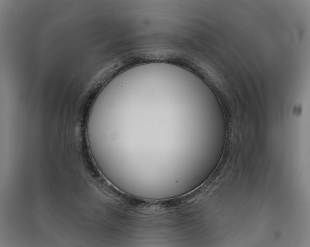 X0000091580258200708201020