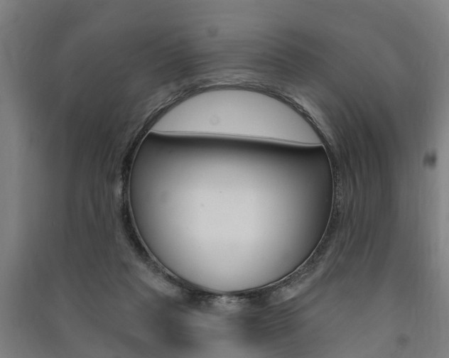 X0000091580261200708201020