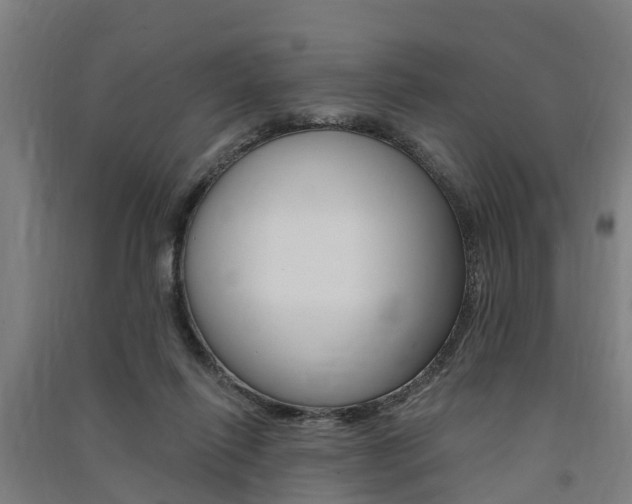 X0000091580262200708201020