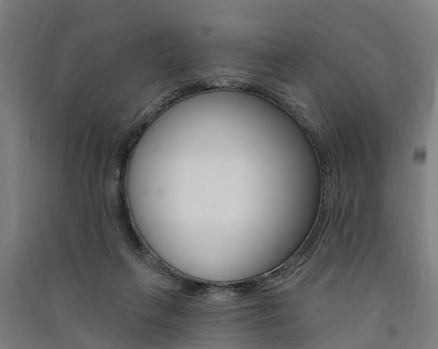X0000091580263200708201020