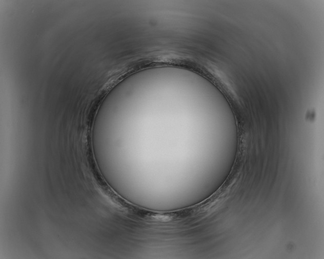 X0000091580265200708201020