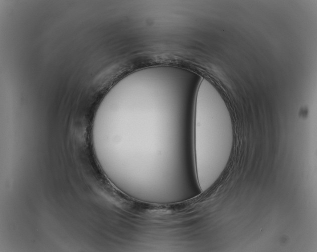X0000091580266200708201020