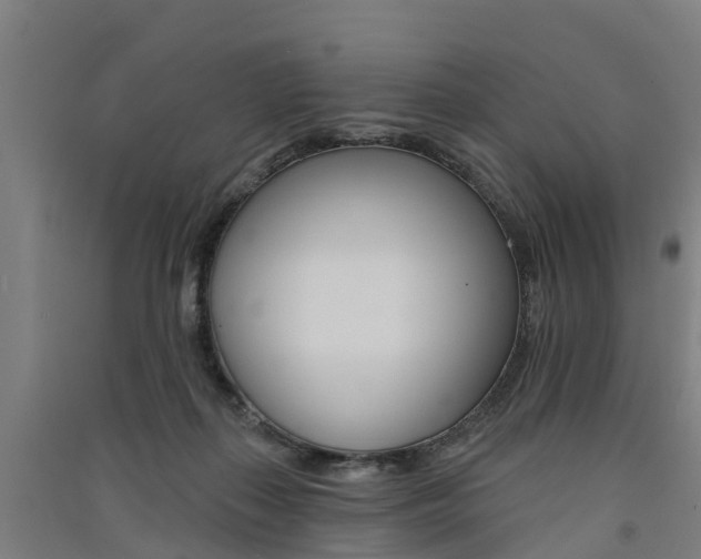 X0000091580267200708201020
