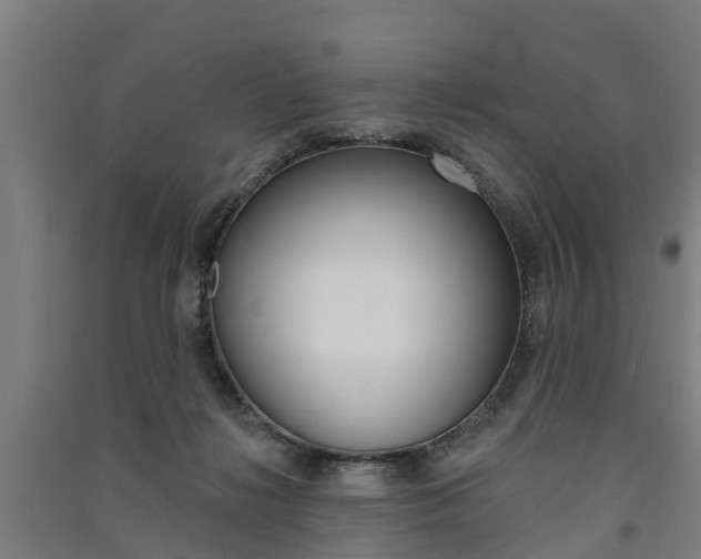 X0000091580268200708201020