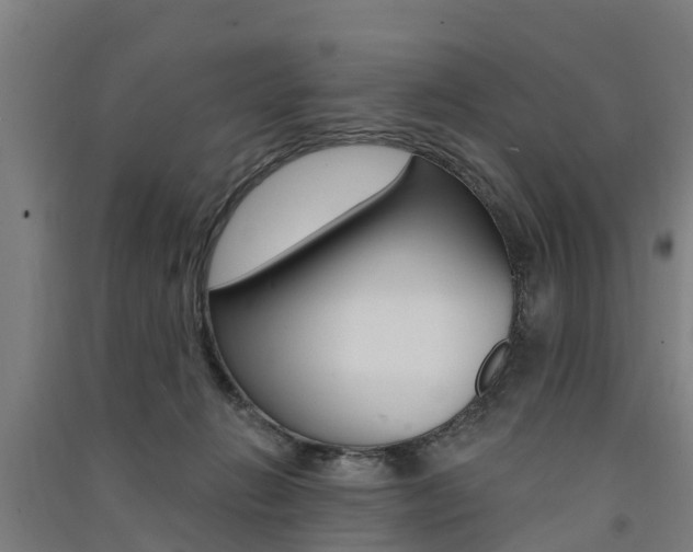 X0000091580270200708201020