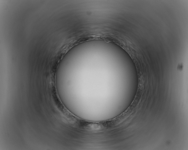 X0000091580272200708201020