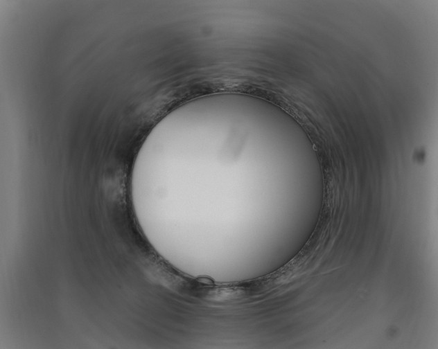 X0000091580274200708201020