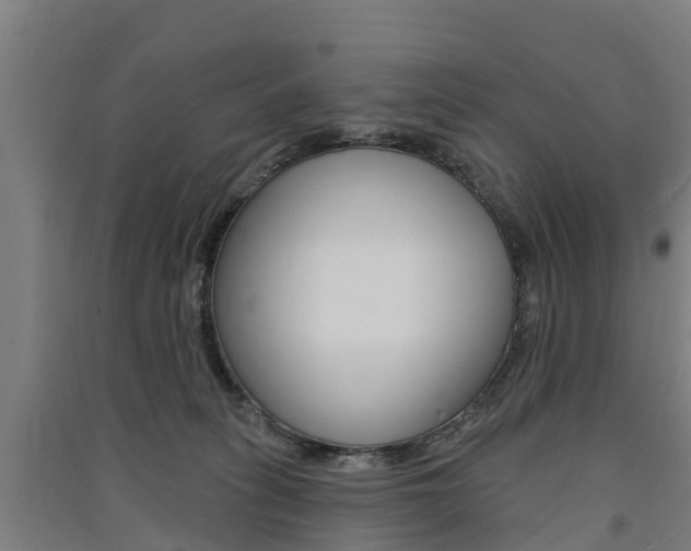 X0000091580275200708201020