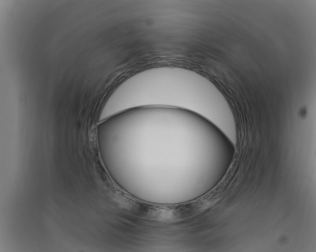 X0000091580276200708201020