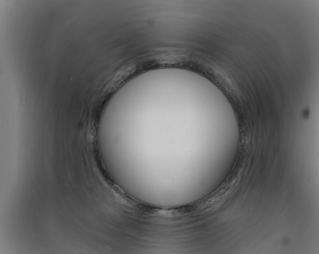 X0000091580277200708201020