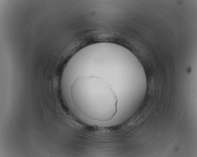 X0000091580278200708201020