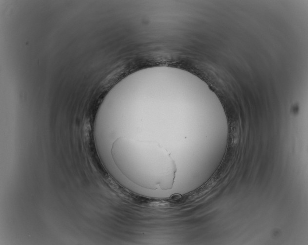 X0000091580279200708201020