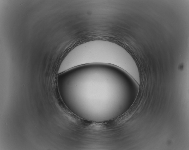 X0000091580280200708201020