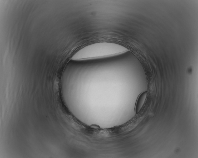 X0000091580282200708201020