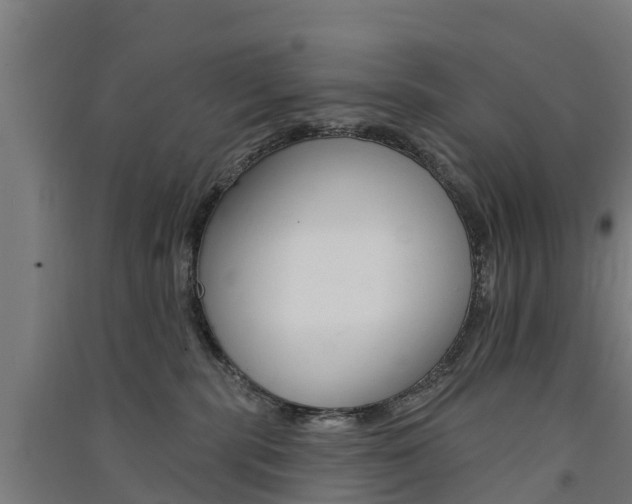 X0000091580283200708201020