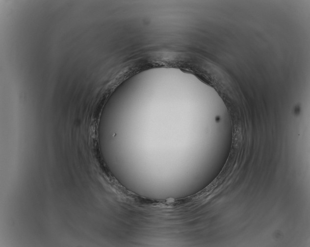 X0000091580284200708201020