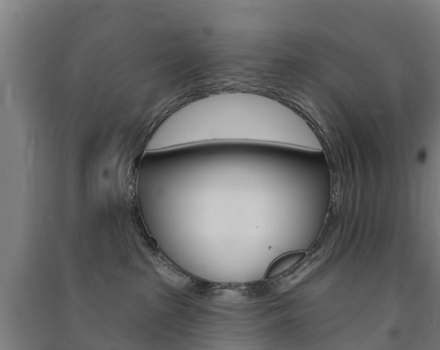 X0000091580285200708201020