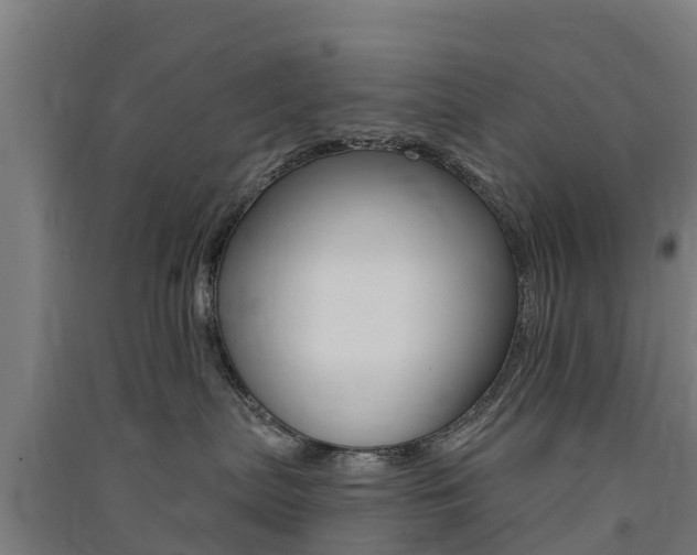 X0000091580287200708201020