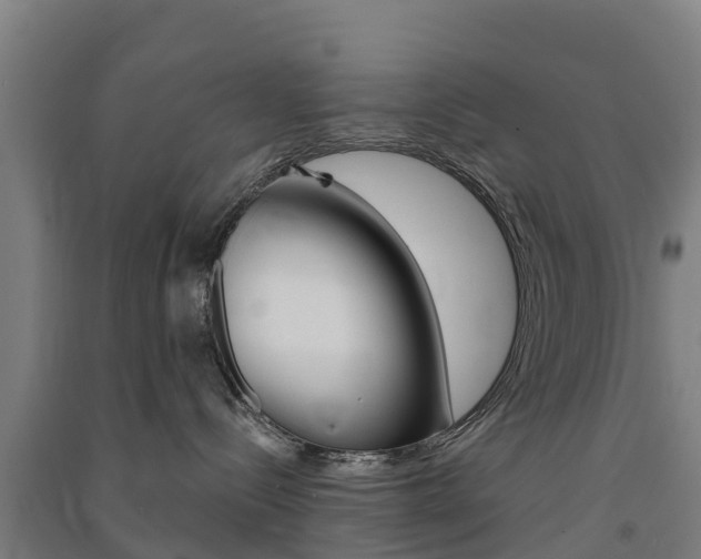 X0000091580288200708201020