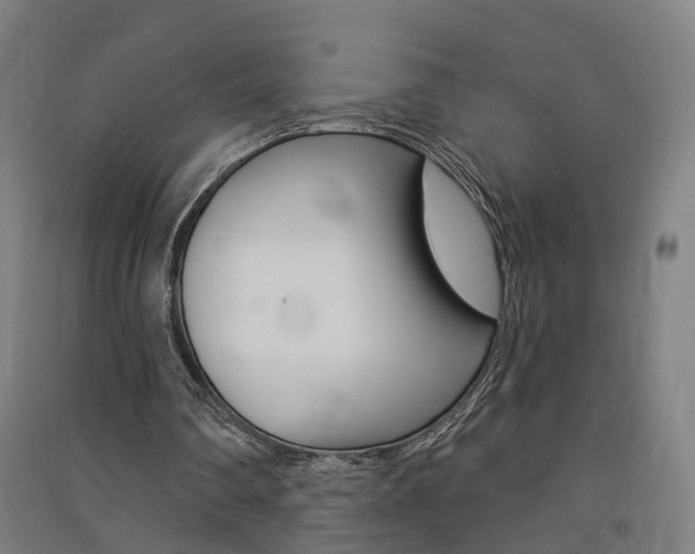 X0000091580290200708201020