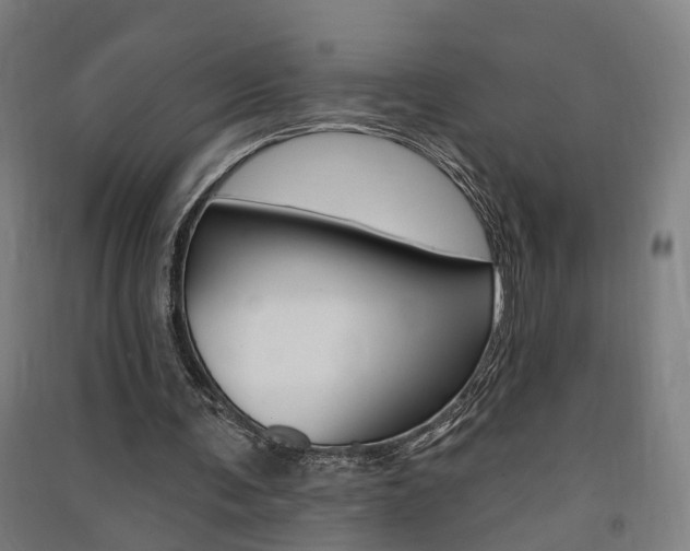 X0000091580291200708201020