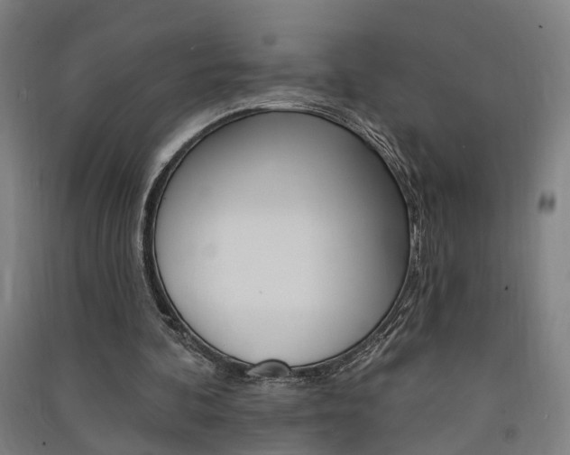 X0000091580292200708201020
