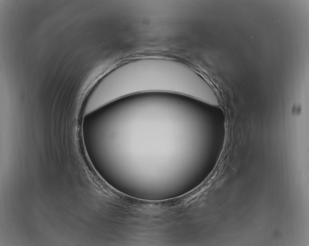 X0000091580293200708201020