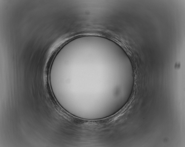X0000091580294200708201020