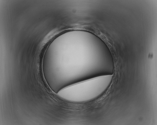 X0000091580295200708201020