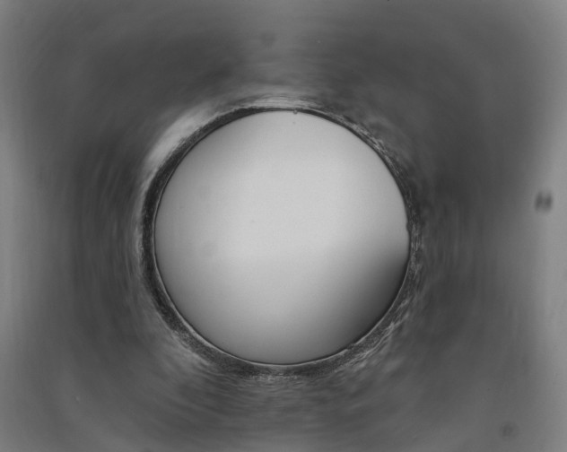 X0000091580296200708201020