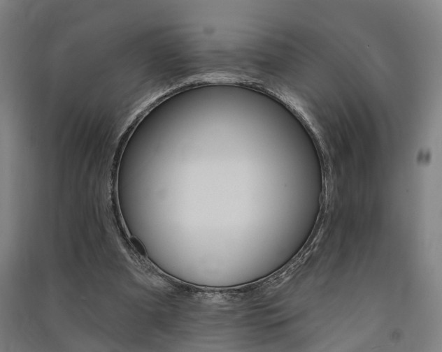 X0000091580297200708201020
