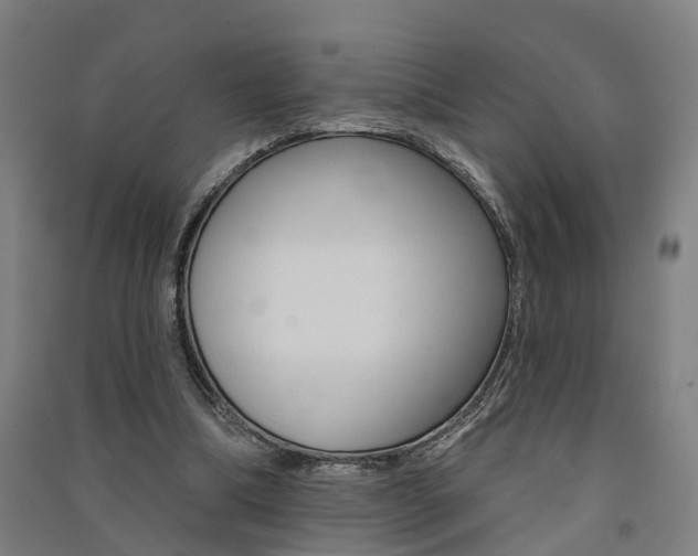 X0000091580298200708201020