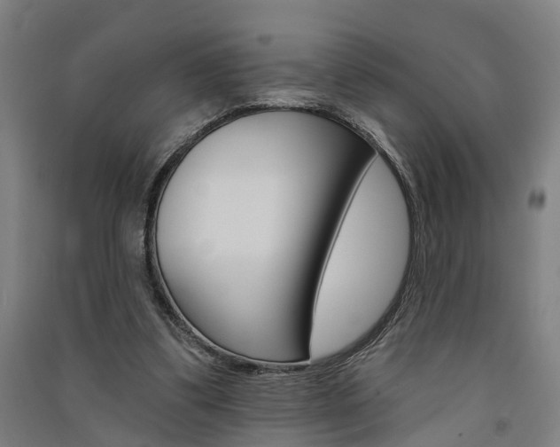 X0000091580299200708201020