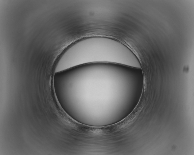 X0000091580301200708201020