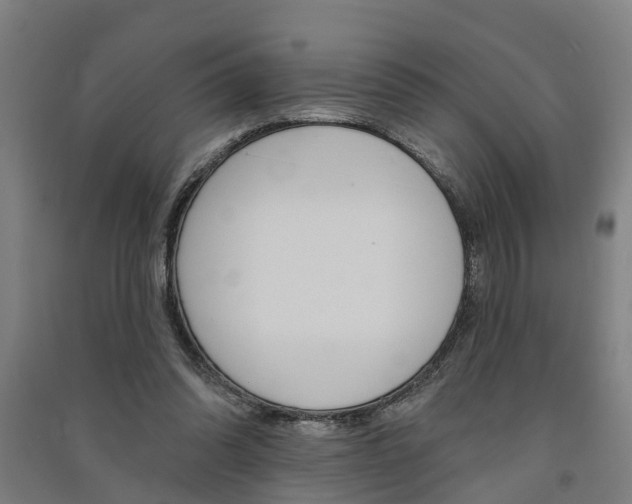 X0000091580302200708201020