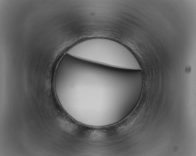 X0000091580303200708201020