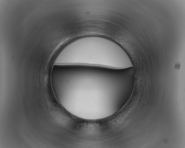 X0000091580304200708201020