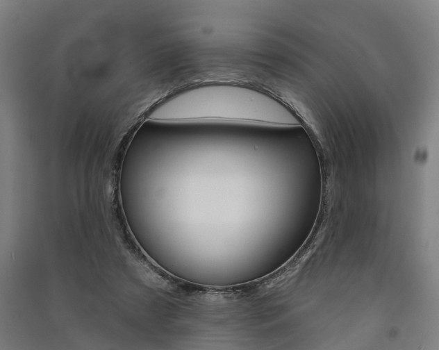 X0000091580305200708201020