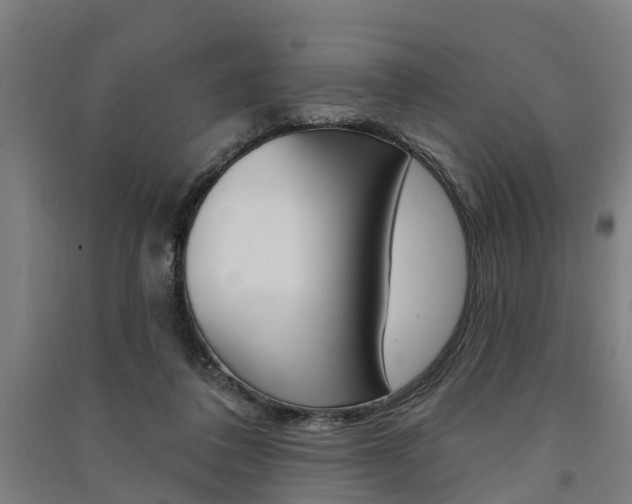 X0000091580308200708201020