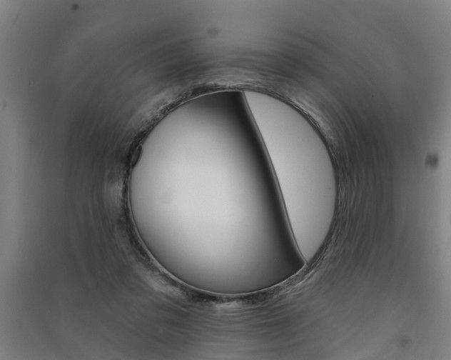 X0000091580309200708201019