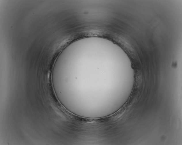 X0000091580310200708201019
