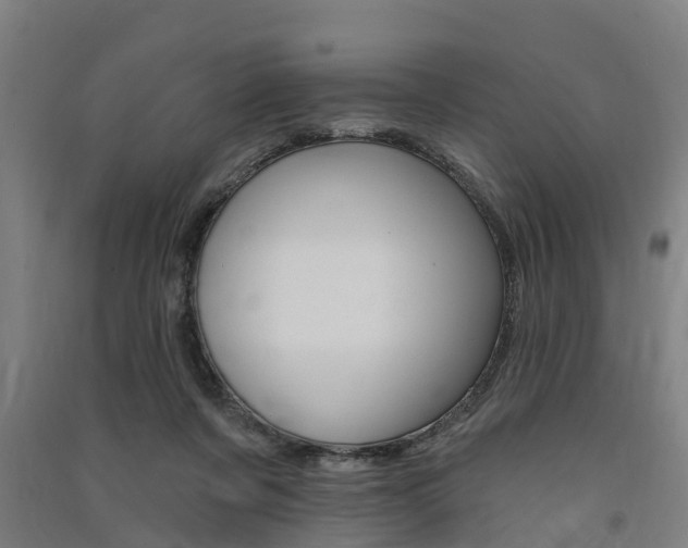 X0000091580311200708201019