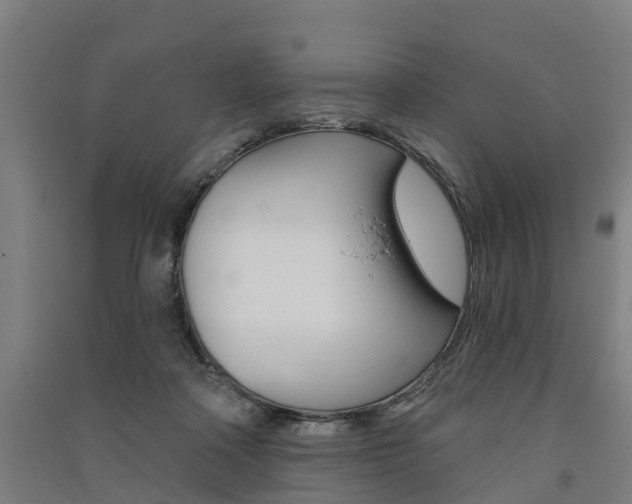 X0000091580314200708201019