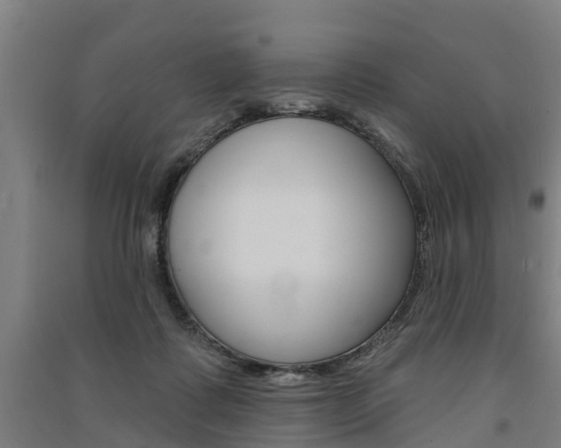 X0000091580315200708201019