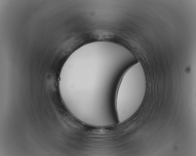 X0000091580316200708201019