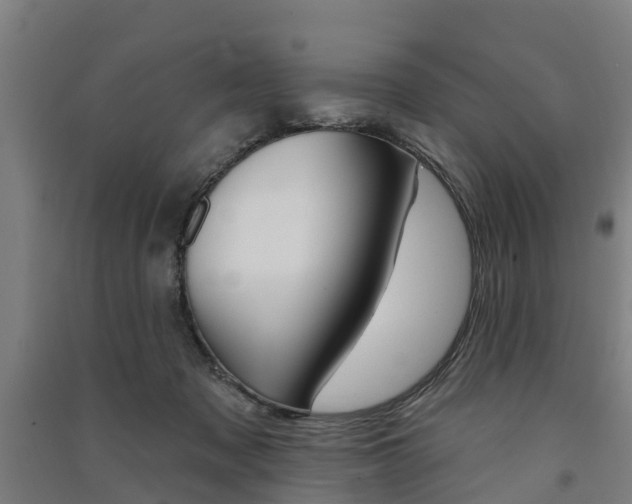 X0000091580317200708201019