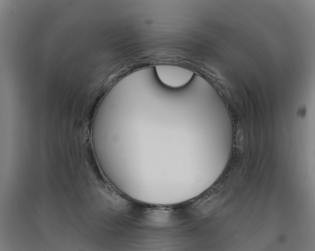 X0000091580318200708201019