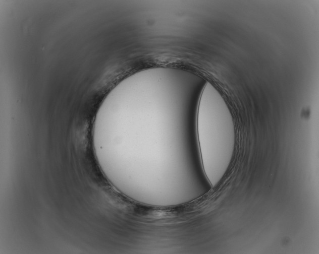 X0000091580319200708201019