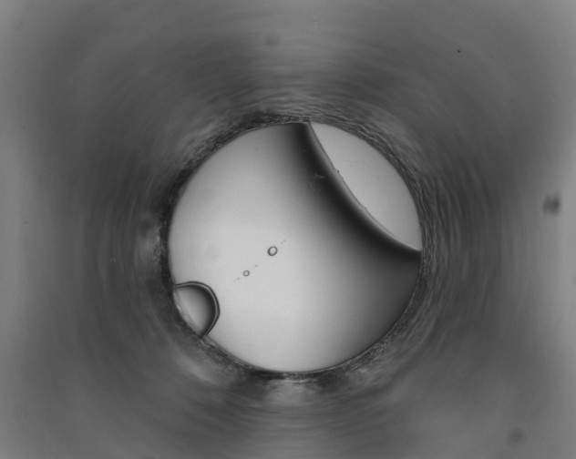 X0000091580320200708201019
