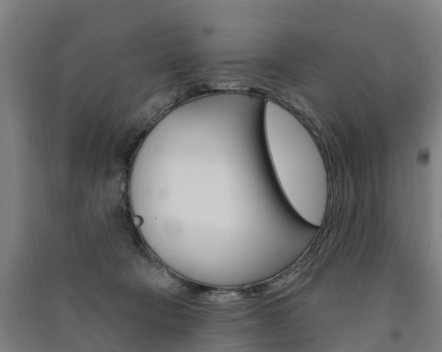 X0000091580322200708201019